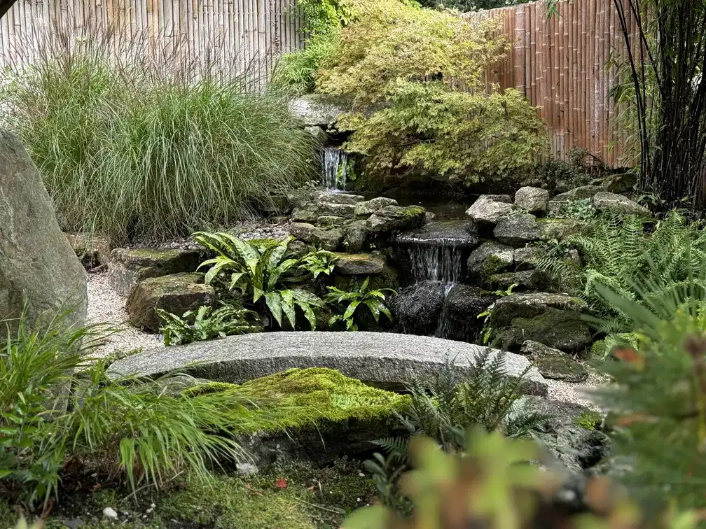 Garden design visualisation by Bristol garden designers