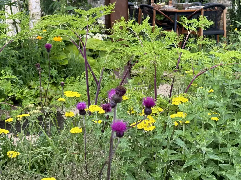 Garden design visualisation by Bristol garden designers