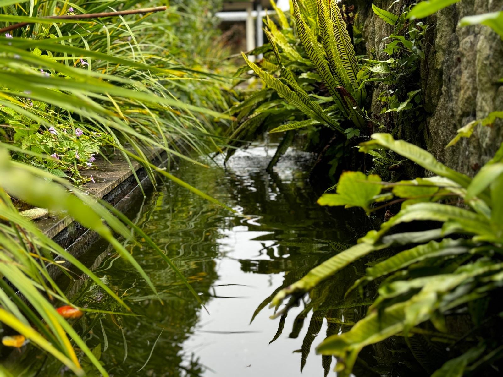 Bespoke garden design Bristol residential project